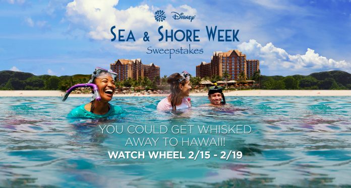 Wheel Of Fortune: Disney Sea & Shore Week Sweepstakes Wheel Of Fortune: Disney Sea & Shore Week Sweepstakes