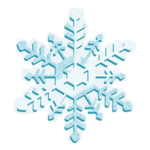 https://www.winzily.com/wp-content/uploads/2016/11/ww-12days-ellenemoji-snowflake-snowcovered.jpg