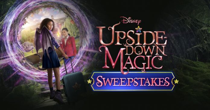 UDM Sweepstakes 2020 UDM Sweepstakes 2020