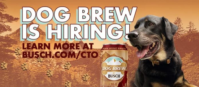 Busch CTO Contest 2021 Busch CTO Contest 2021